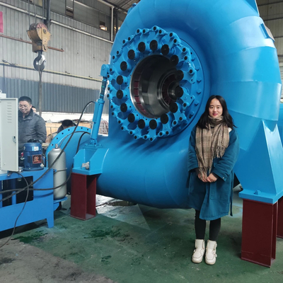 qualidade  Reliable Water Turbine Generator For Various Speeds And Frequencies fábrica
