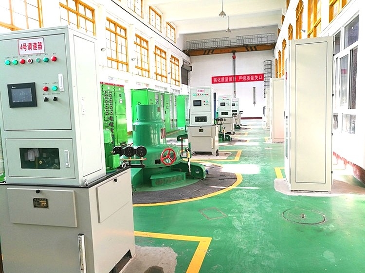 Gerador de turbina hidráulica Kaplan confiável Voltagem nominal 220-11000V
