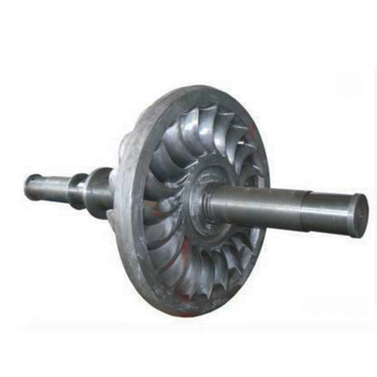 Gerador de turbina de aço inoxidável com cabeça nominal de 50-400m para aplicações de 220V-11000V
