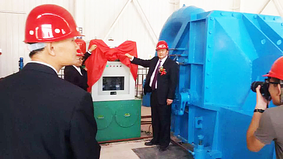 Grade de proteção IP54 Gerador de turbina tipo Pelton para geração de energia em ferro fundido/aço inoxidável