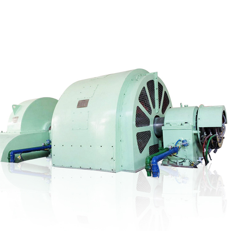 Gerador de turbina tipo Pelton de 100 kW-50 MW com construção de aço inoxidável