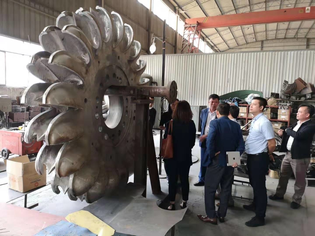 Gerador de turbina Pelton de frequência nominal de 100kw-50mw 6-10kV F com corredor de aço inoxidável