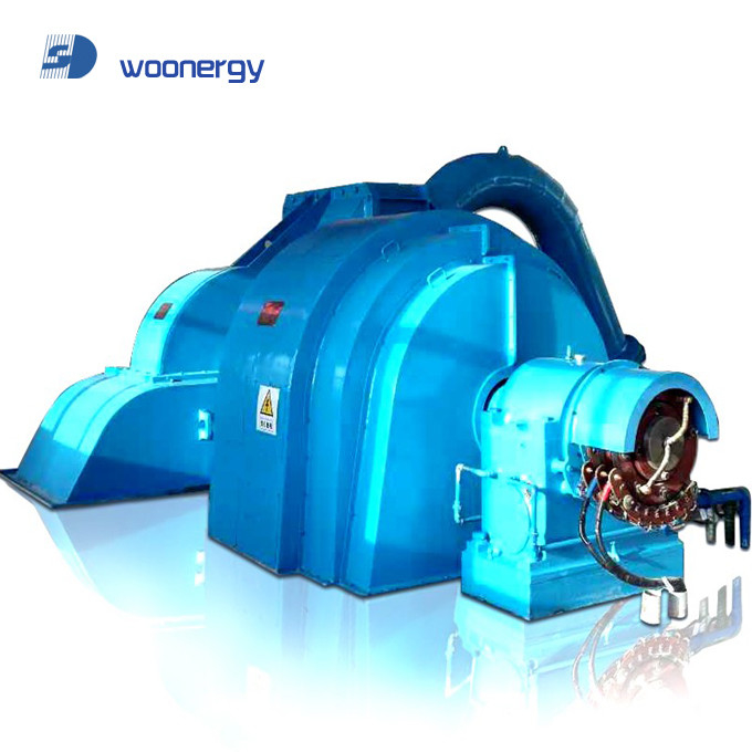 Gerador de Turbina de Impulso de Cabeça IP54 Grau de Proteção 6-10kV Voltagem nominal Ferro fundido/aço inoxidável