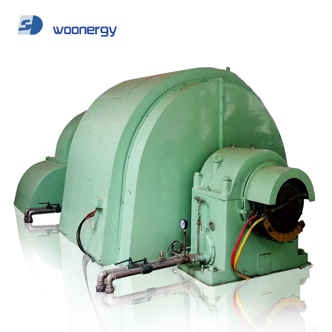 Gerador de turbina de energia hidrelétrica Pelton 100kw-50mw IP54 Brushless/Thyristor 5-50t Peso