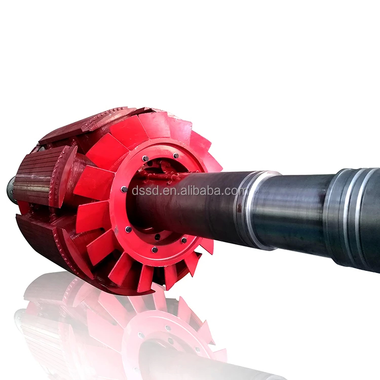 450 - 1000 rpm Gerador de turbina de água Instalação vertical/horizontal 220V-690V Voltagem