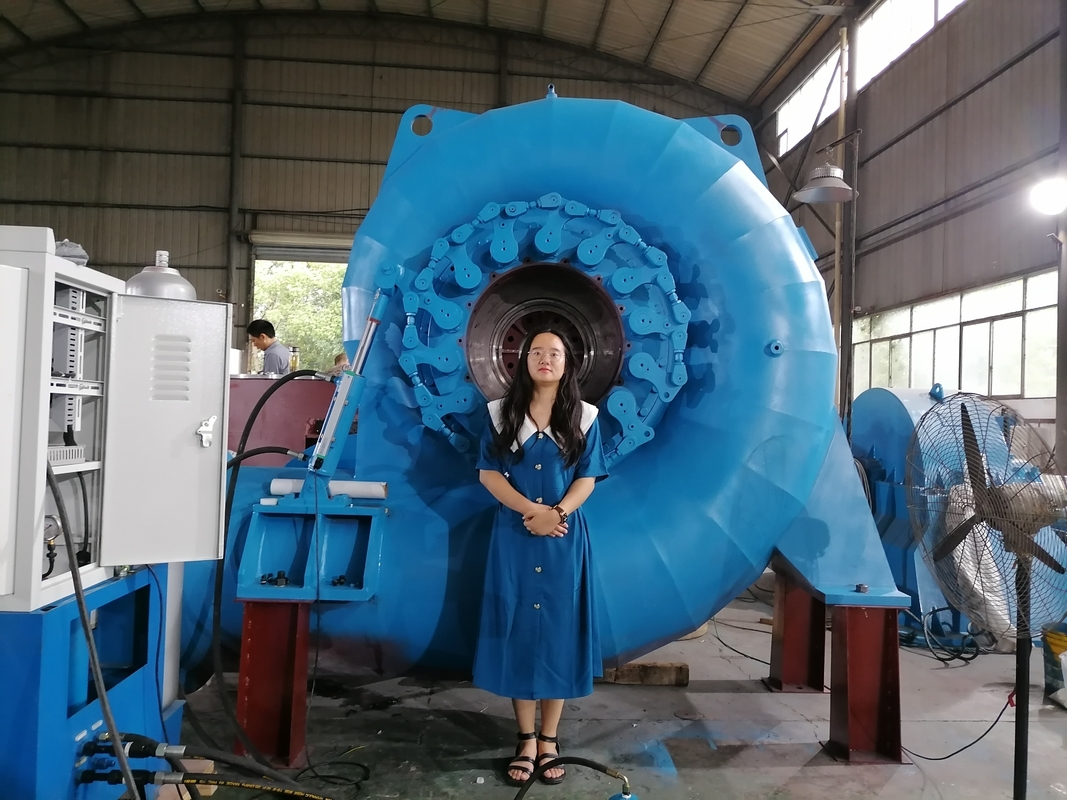 Gerador de turbina de água versátil de cor personalizada para necessidades variadas de energia