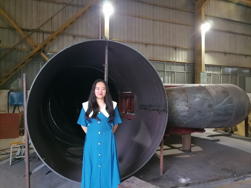 Gerador de turbina de água automático / manual com tensão nominal de 450-1000 RPM