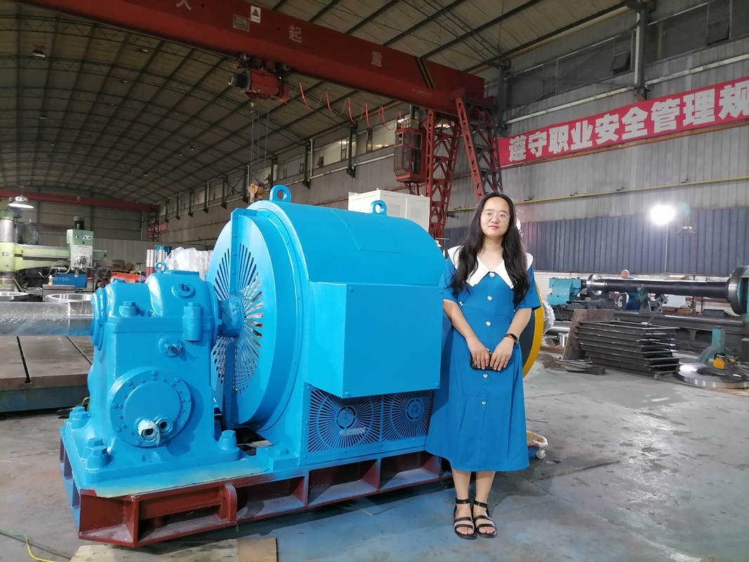 Gerador de turbina de água de tensão 220V-690V para produção de energia sustentável