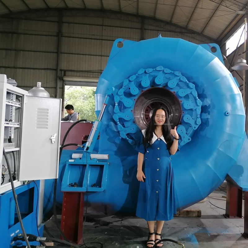 Gerador de turbina Francis de 300 kW-20 MW com frequência de 50 Hz/60 Hz e tensão nominal ajustável