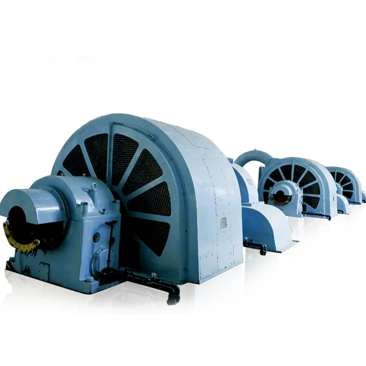 Gerador de turbina de roda de Pelton de tensão nominal de 6-10 kV com construção de ferro fundido/aço inoxidável