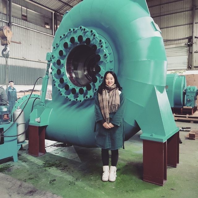 50 anos Instalação vertical / horizontal Gerador de turbina de água sem escovas / silício estático