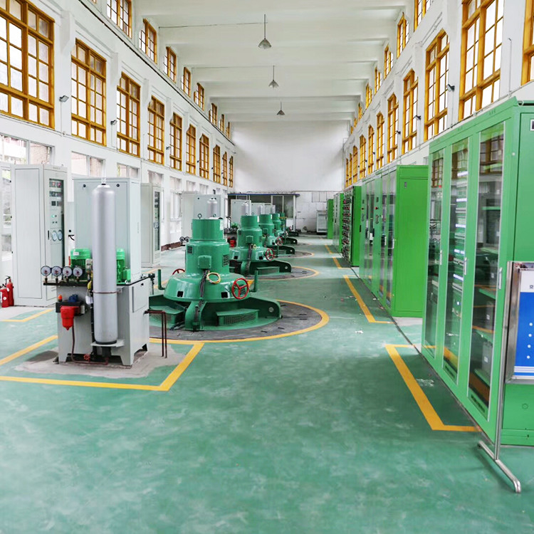 Gerador de turbina Francis de alta durabilidade para ótimo desempenho e conversão de energia