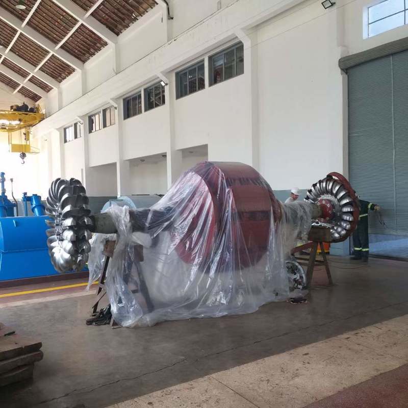 Geradores de Turbina Pelton Amigáveis ao Ambiente Equipamento Hidrelétrico Durável para Projetos de Energia Sustentável