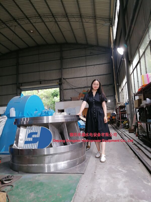 Modo de controlo automático Gerador de turbina Francis com velocidade de 150 a 1000 RPM e Volute de aço carbono para energia hidrelétrica