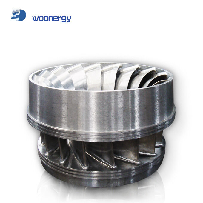 Francis Runner gerador de turbina de água projetado para cabeça de projeto 168 a 357 M robusto Francis tecnologia gerador de turbina