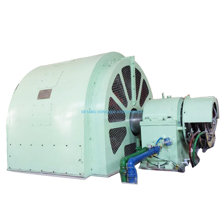 Período de produção 6 meses Pelton Wheel Turbine Generator Equipamento hidroeléctrico concebido para produção de energia renovável