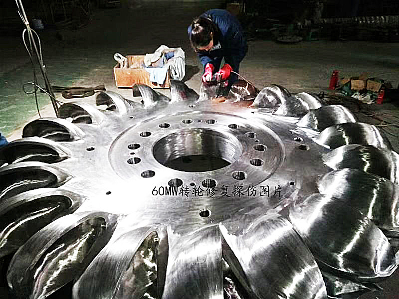 500-3000r/min Distância de velocidade Gerador de turbina tipo Pelton com modo de excitação sem escovas