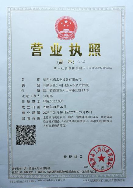 China Deyang Dongsen Hydropower Equipment Co., Ltd. Certificações