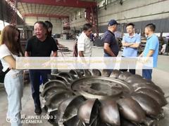 1-100 MW de potência nominal Turbina hidráulica com pressão de entrada de 10 MPa e material de aço inoxidável